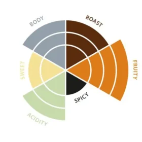 Et smakshjuldiagram som viser kategorier som kropp, stek, søt, fruktig, krydret og surhet i forskjellige fargede segmenter.