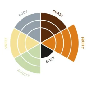 Et sirkulært smakshjul delt inn i fire seksjoner merket kropp, stekt, søtt og fruktig, med gradientnyanser som representerer intensitet.