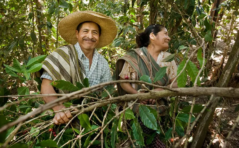En smilende mann og kvinne iført tradisjonelle klær og stråhatter står blant tett grønt løvverk og ser ut til siden og legemliggjør miljøansvar.